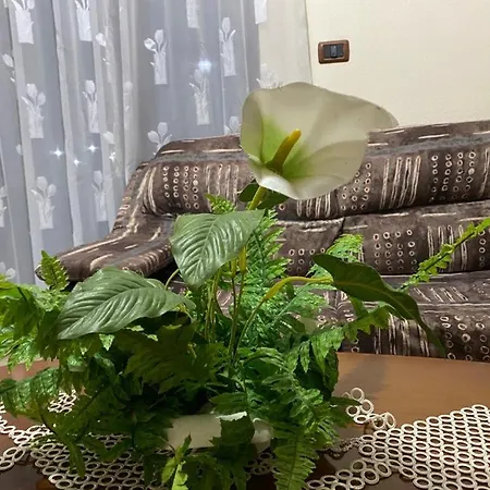 Bujtina Mikpritja Korcare